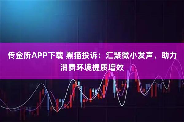传金所APP下载 黑猫投诉：汇聚微小发声，助力消费环境提质增效
