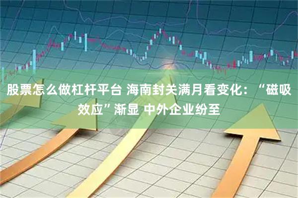 股票怎么做杠杆平台 海南封关满月看变化：“磁吸效应”渐显 中外企业纷至